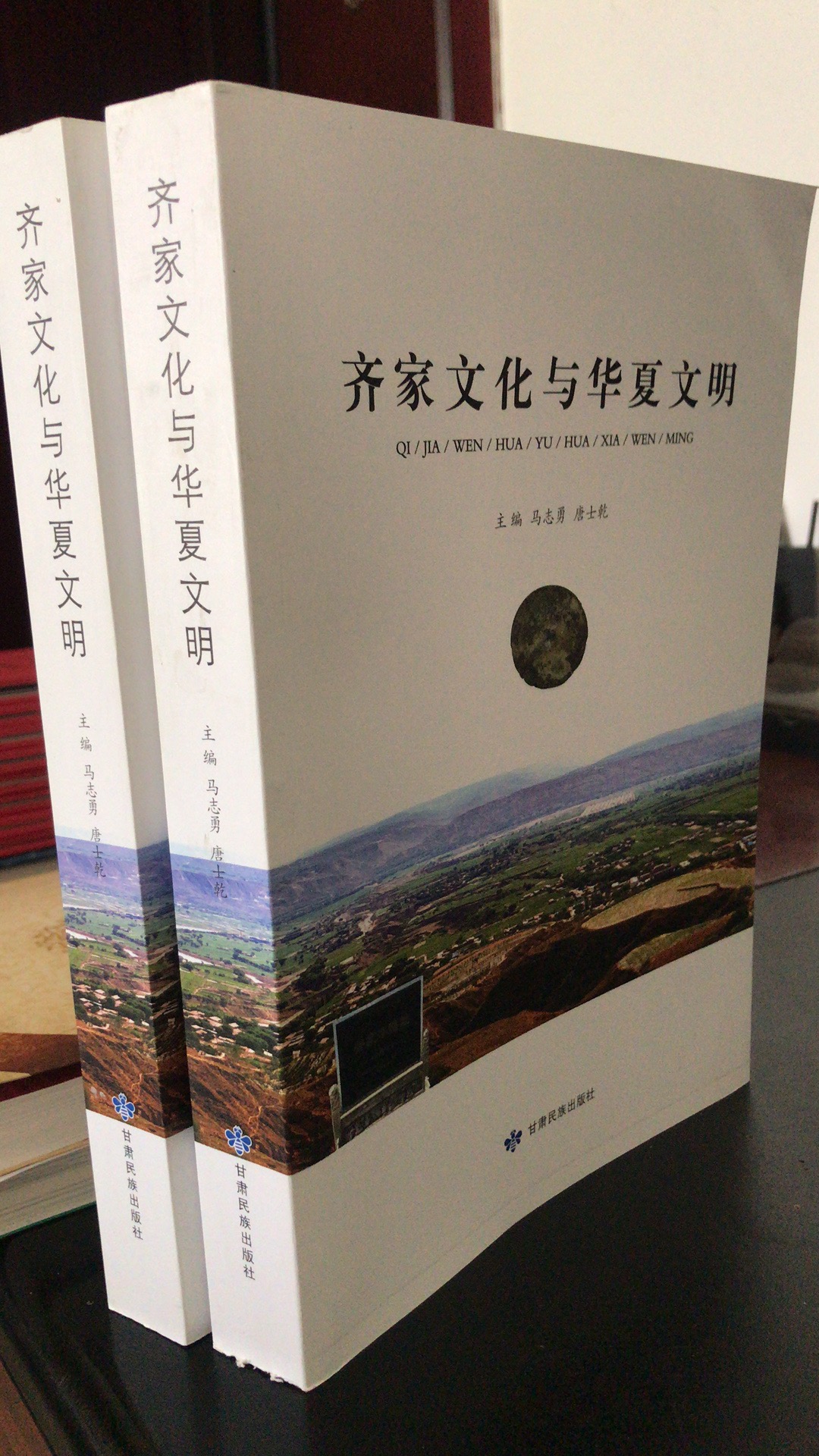 《齐家文化与华夏文明》 —— 一本追根华夏文明源头的专著